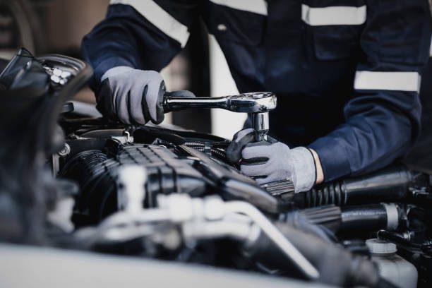 istockphoto 1347150432 612x612